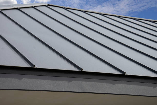 Best Solar Panel Roofing Installation  in St Paul, MO